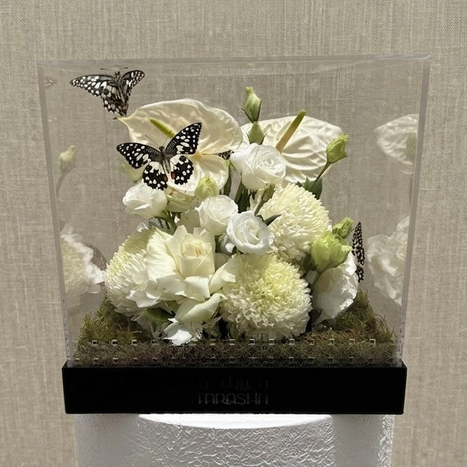 Farasha Box - Elegant White
