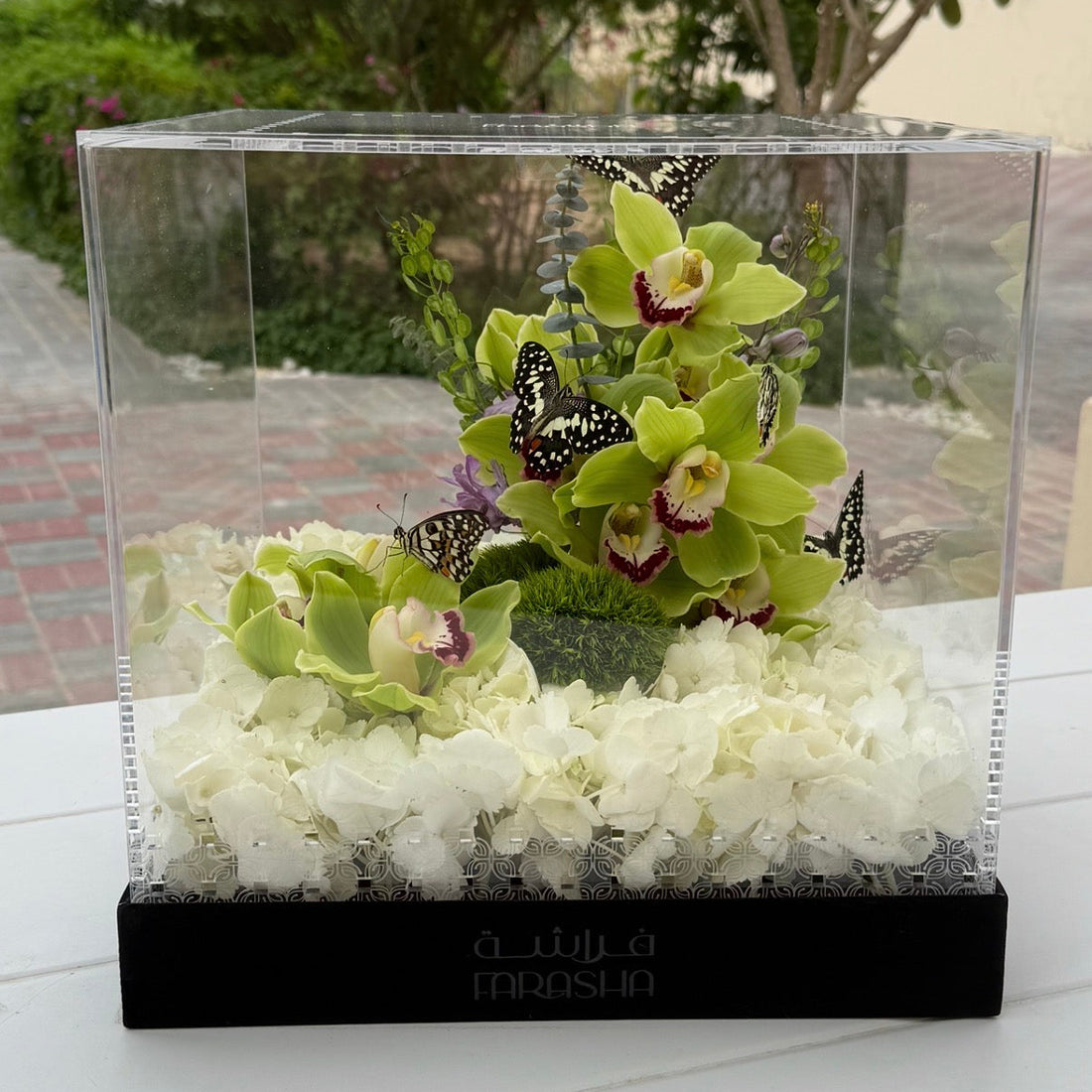 Farasha Gold - Orchid Reef