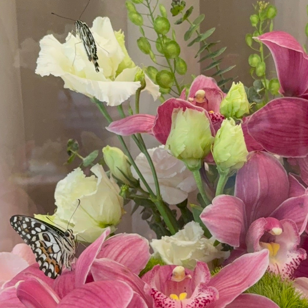 Farasha Gold - Orchid Fantasy