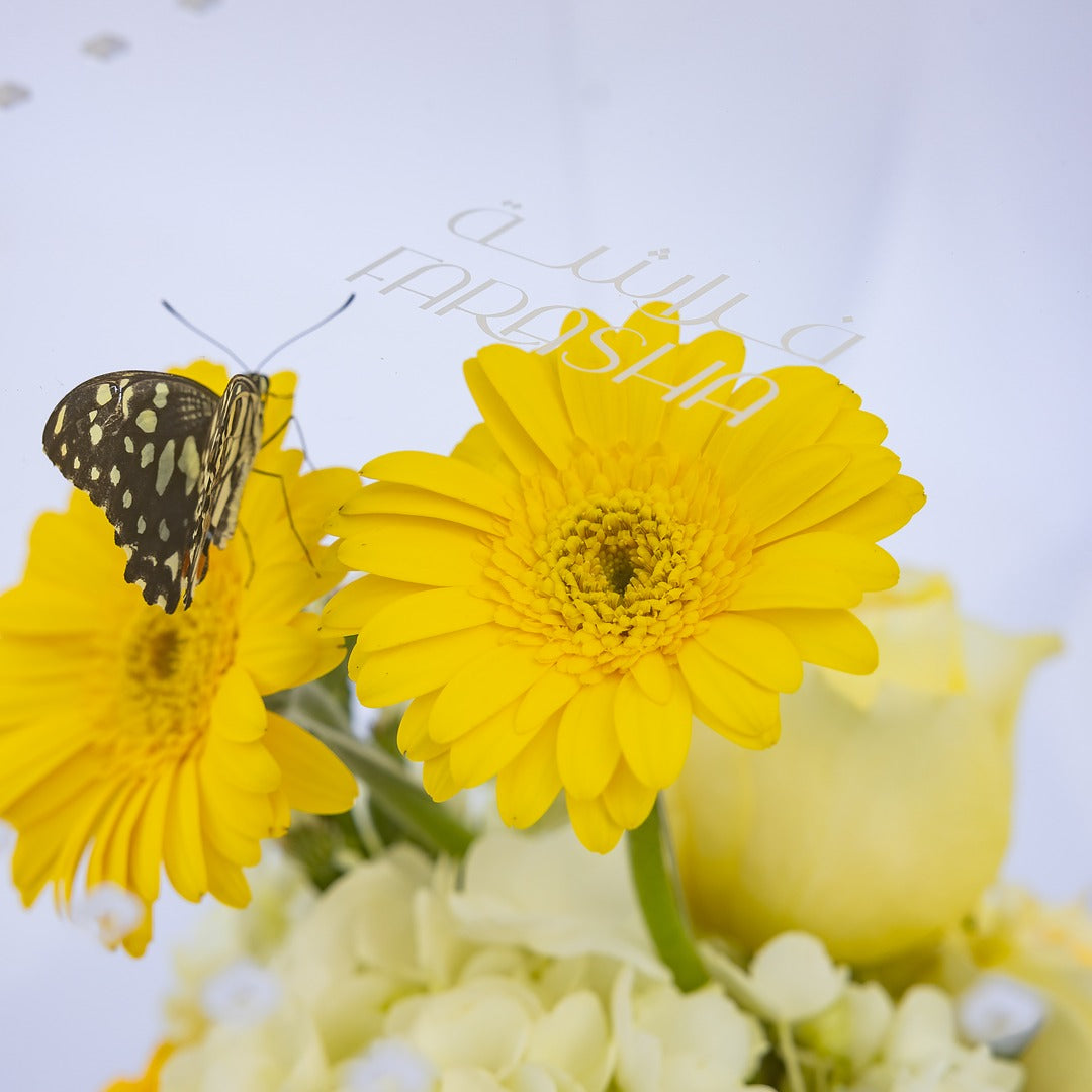 Farasha Box - Elegant Yellow & White