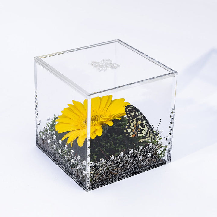 Make a Wish Box - Bright Yellow
