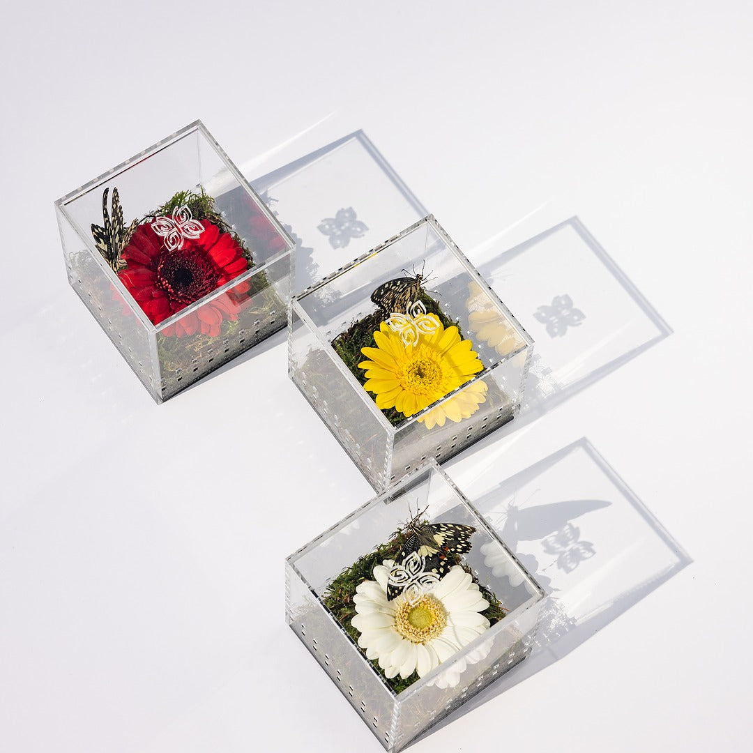 Make a Wish Box - Bright Yellow