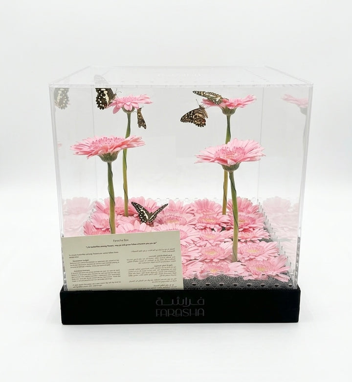 Farasha Box - Playful Pink