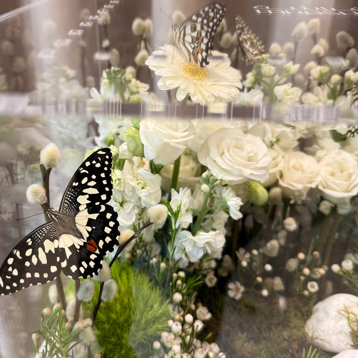 Farasha Gold - White Enchanted Forest