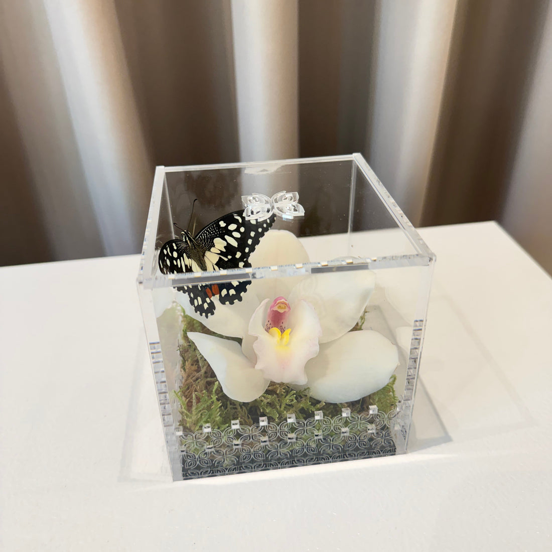 Make a Wish Box - White Orchid