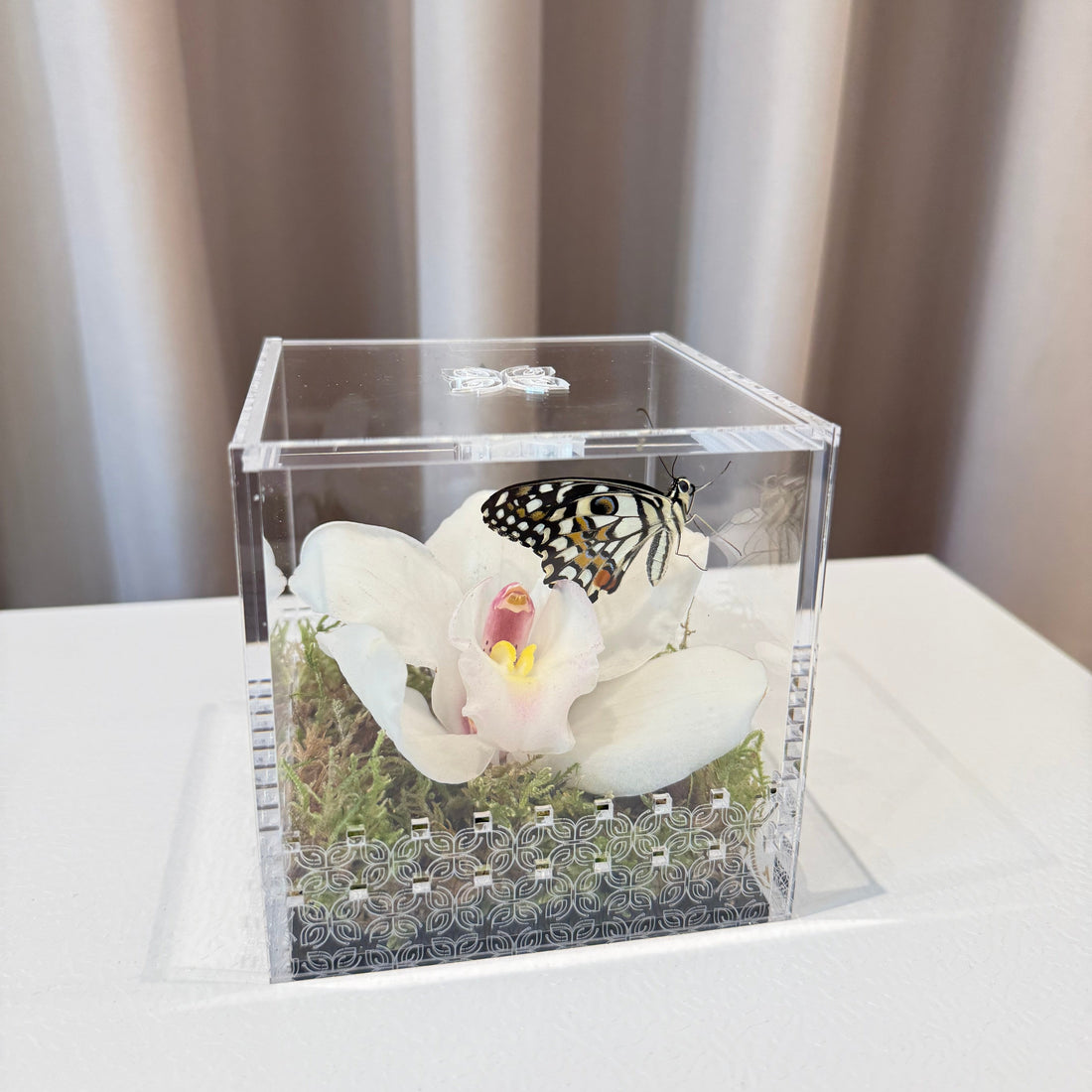 Make a Wish Box - White Orchid