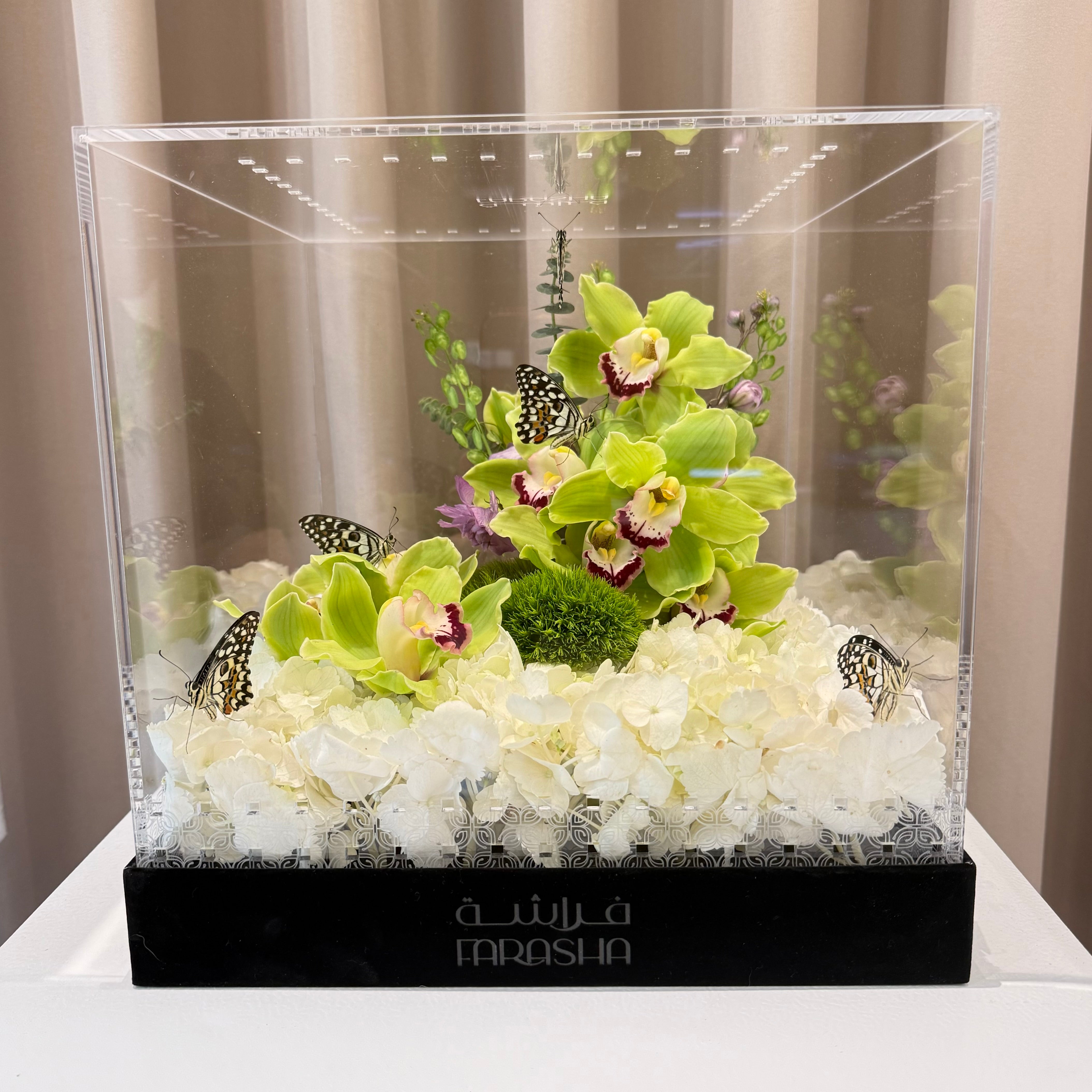 Farasha Gold - Orchid Reef