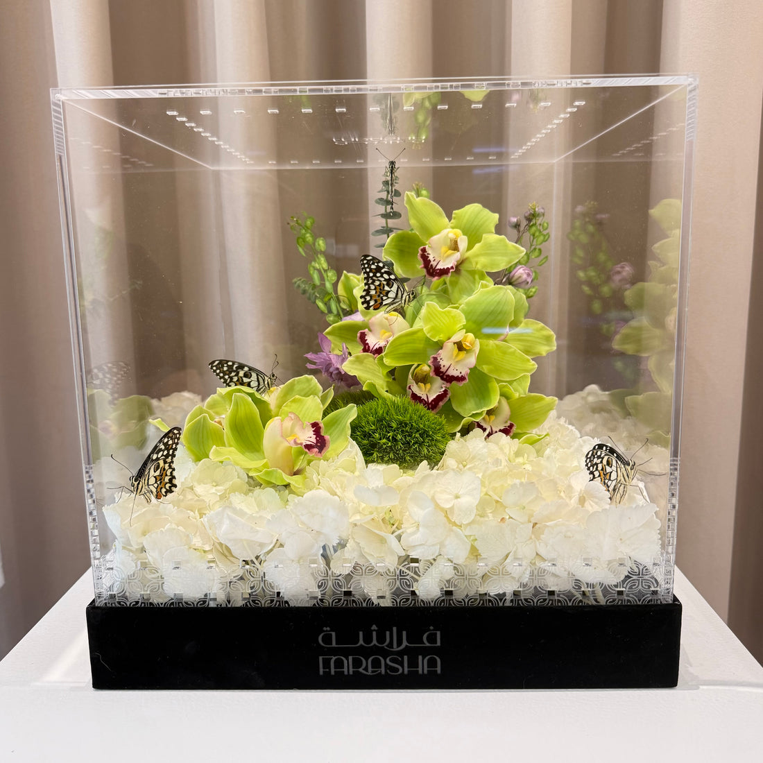 Farasha Gold - Orchid Reef