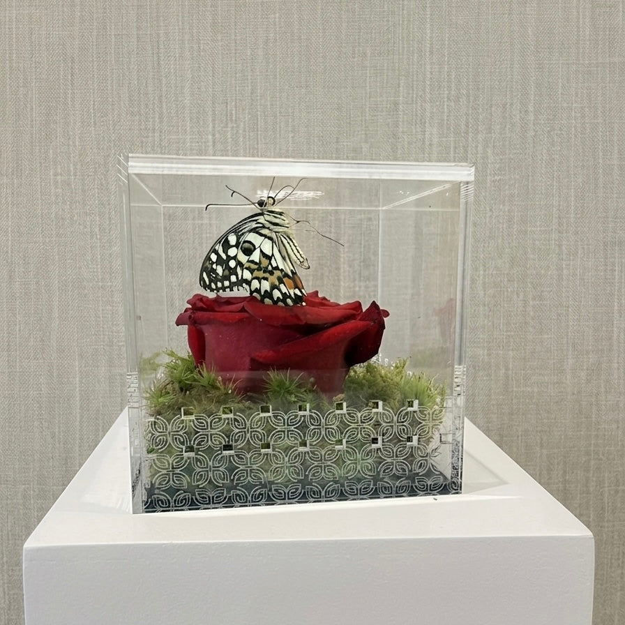 Make a Wish Box - Red Rose