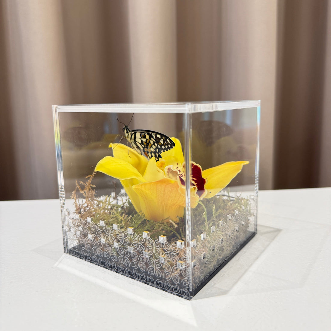 Make a Wish Box - Yellow Orchid