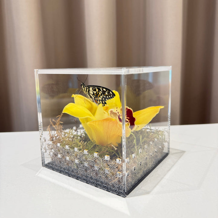 Make a Wish Box - Yellow Orchid