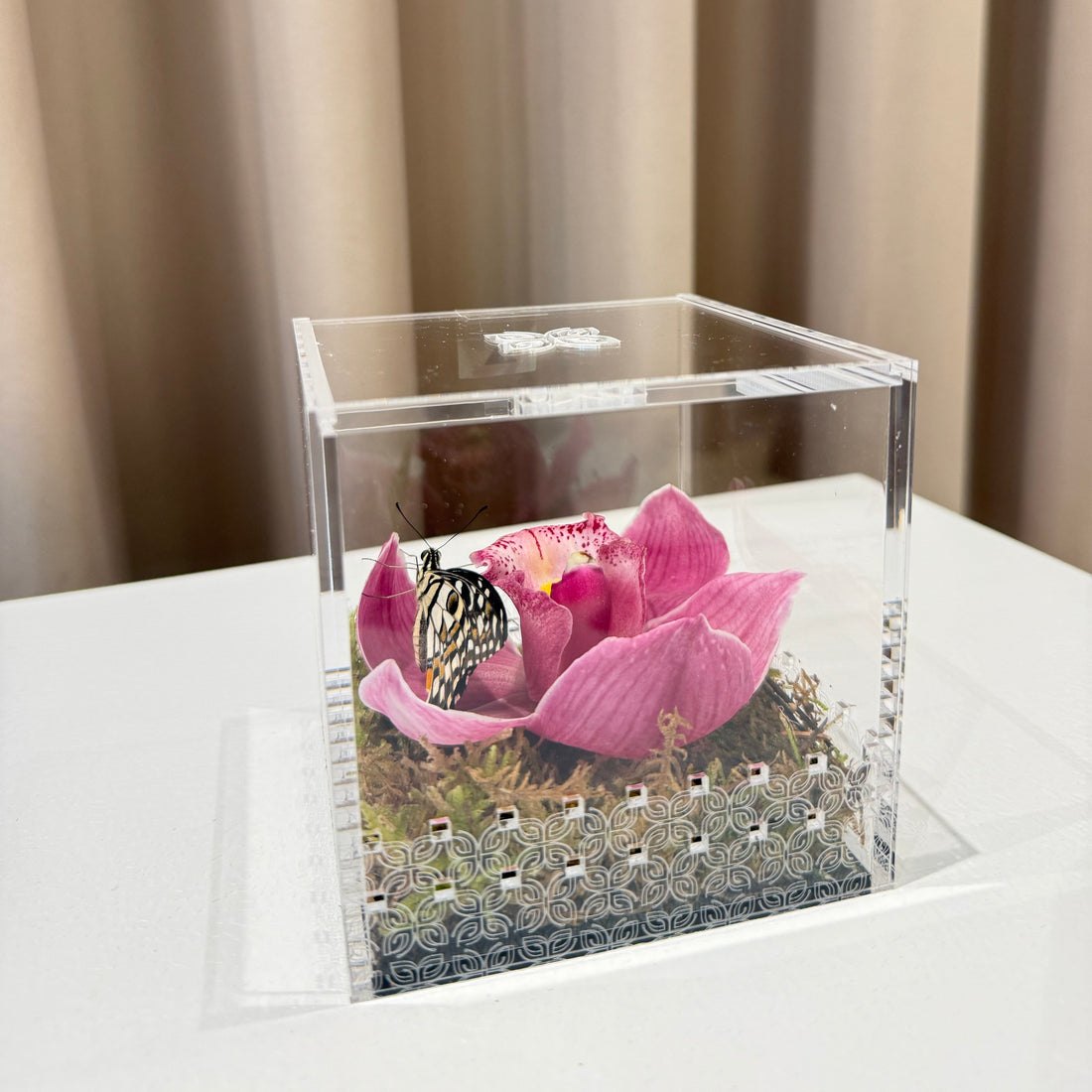 Make a Wish Box - Purple Orchid