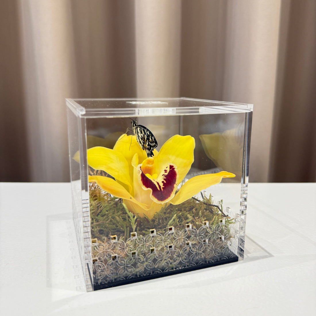 Make a Wish Box - Yellow Orchid