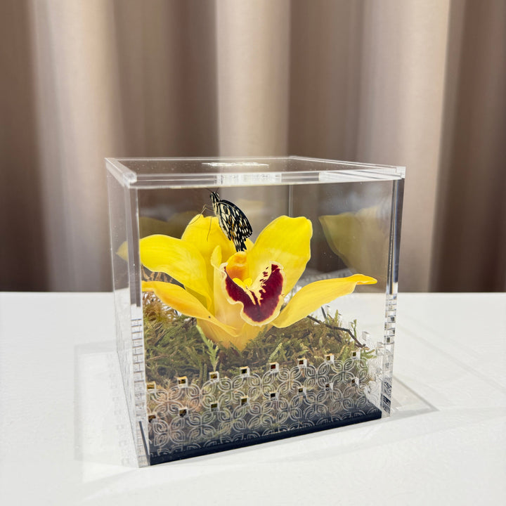 Make a Wish Box - Yellow Orchid