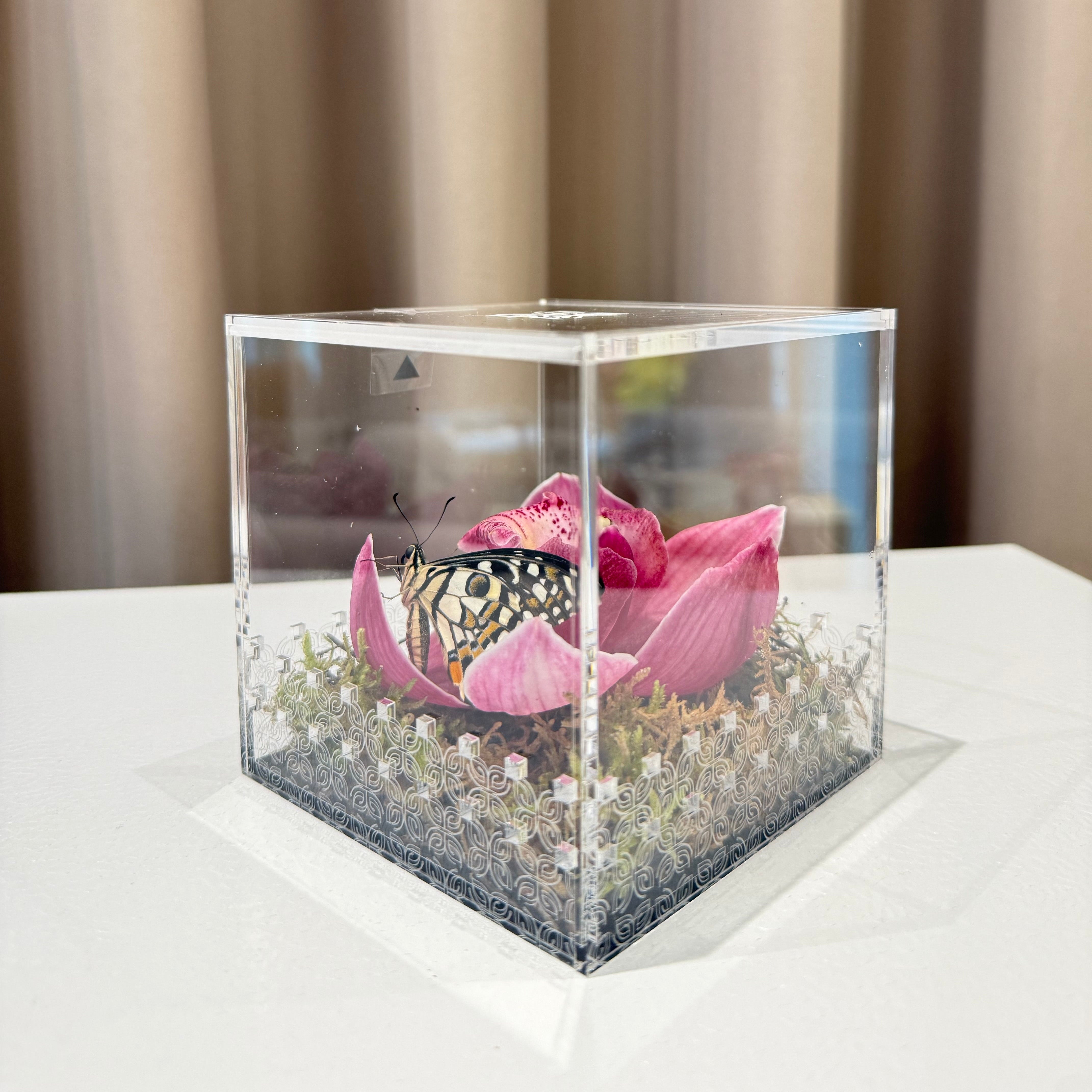 Make a Wish Box - Purple Orchid
