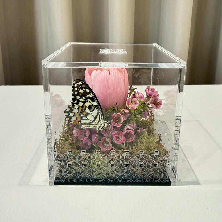 Make a Wish Box - Pink Tulip