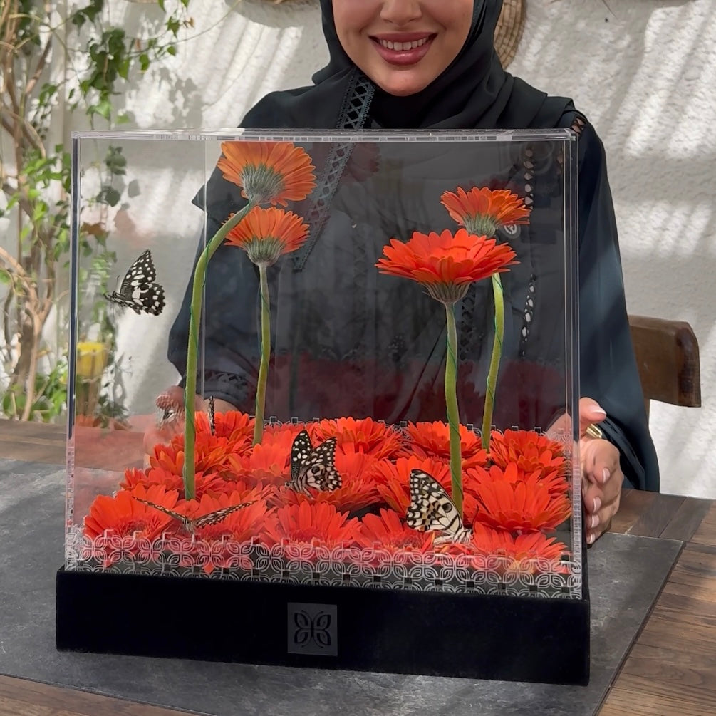 Farasha Box - Playful Orange