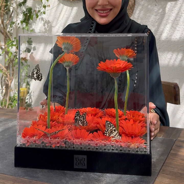 Farasha Box - Playful Orange