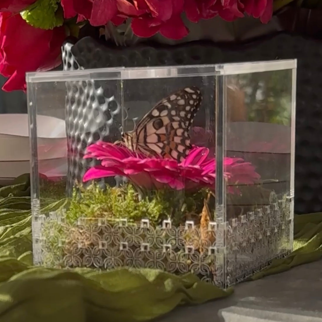 Make a Wish Box - Bright Pink