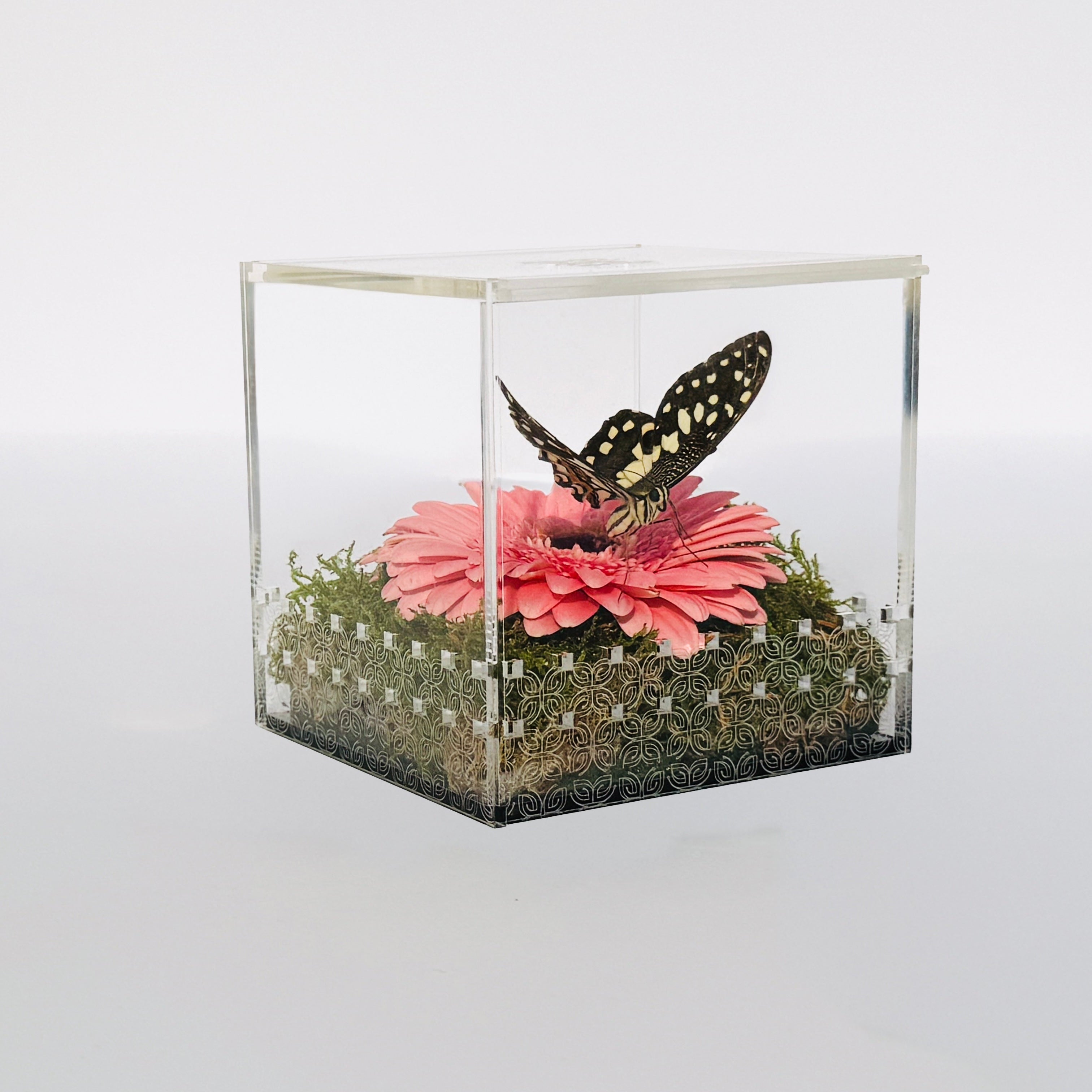 Make a Wish Box - Pink