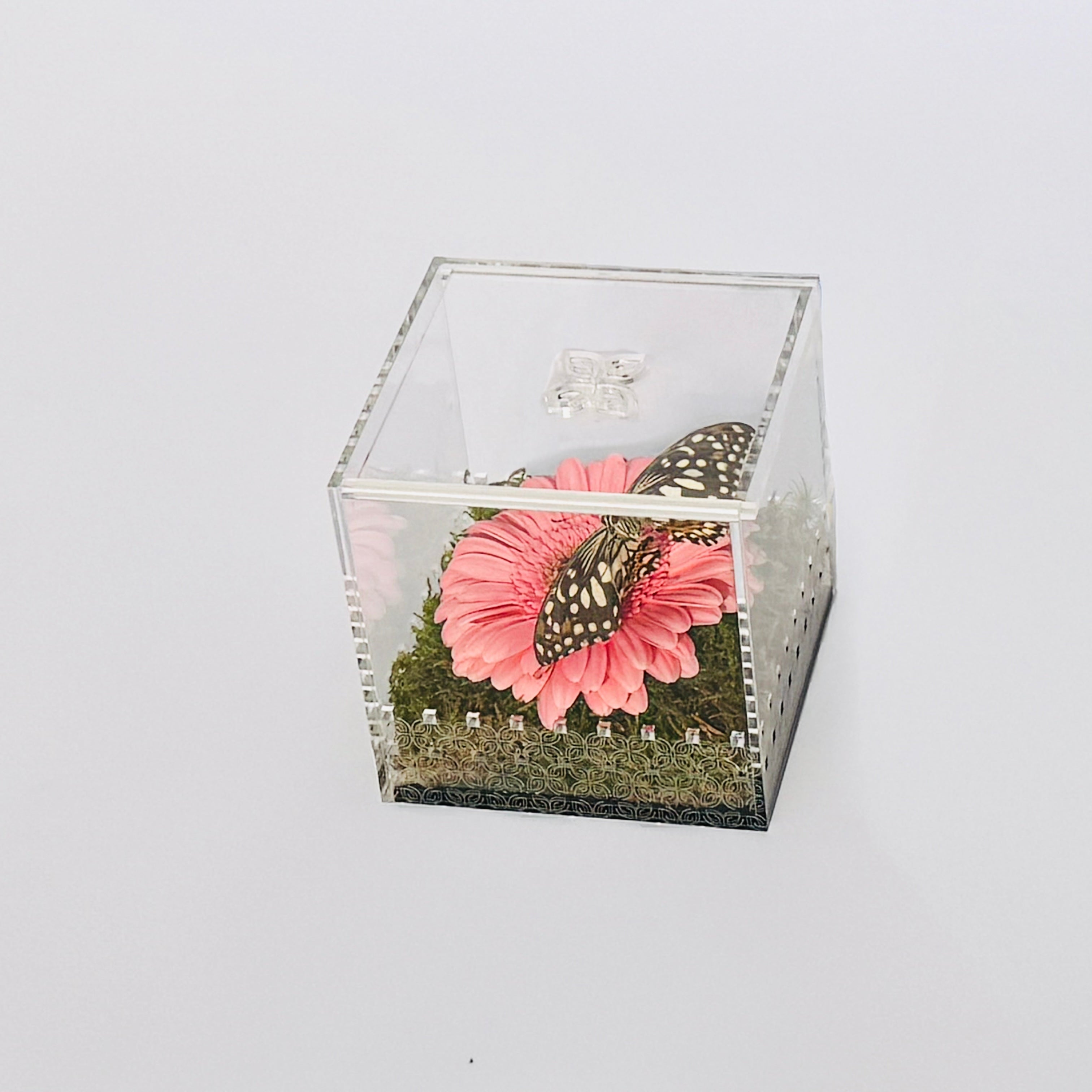 Make a Wish Box - Pink