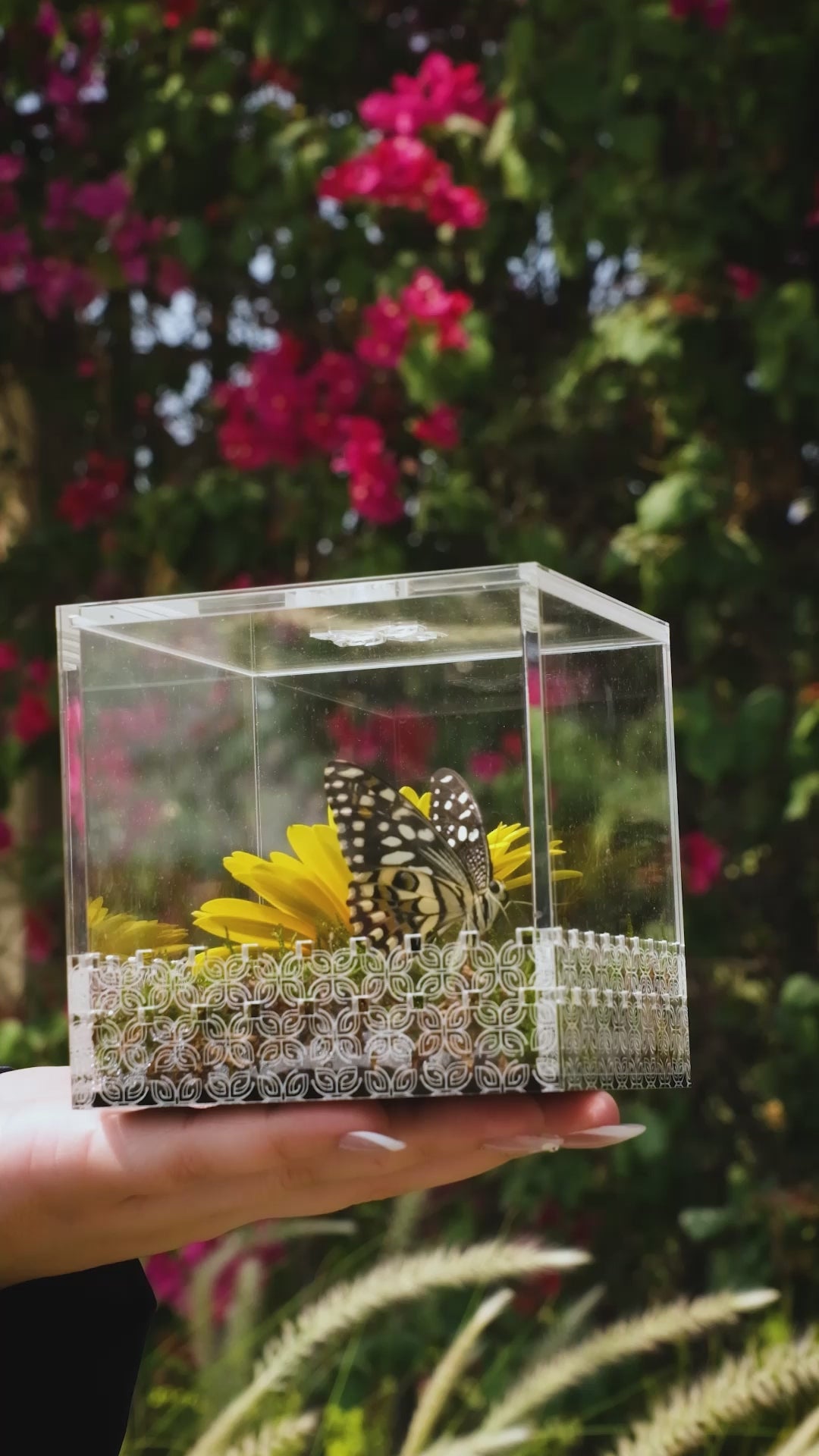 Make a Wish Box - Bright Yellow